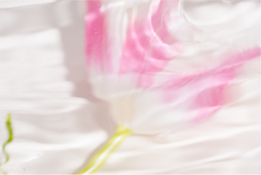 imageArt2